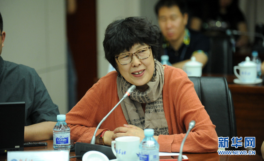 陳小波：新華人對歷史的擔(dān)當(dāng)、情感與良知
