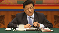 白瑪赤林：譜寫好中華民族偉大復(fù)興中國夢(mèng)的西藏篇章